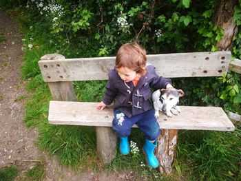 High angle view of boy sitting with puppy on wooden bench at field