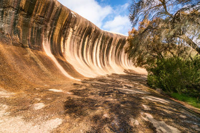 Rock formations by trees