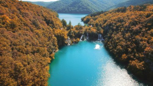Scenic view of river amidst trees