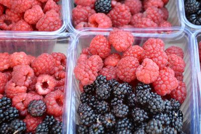 High angle view of strawberries in container