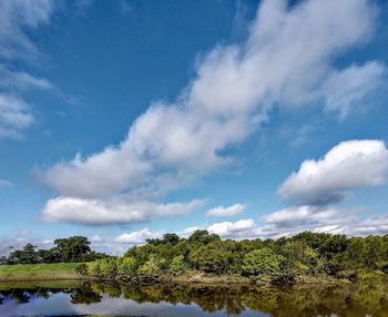 Panoramic view of trees on landscape against sky