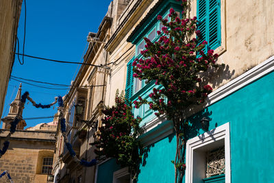 Low angle view of flowering tree by building against blue sky