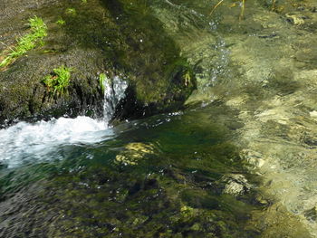 Scenic view of waterfall