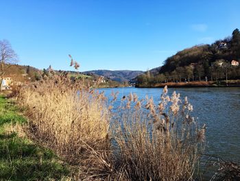 Scenic view of lake against blue sky