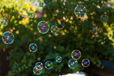 Close-up of bubbles against trees