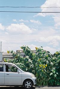 View of road against cloudy sky