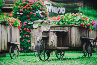 Potted plant by flower pot