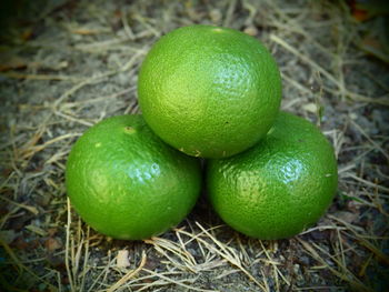 Close-up of green fruit