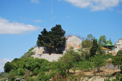 Plants by old building against sky