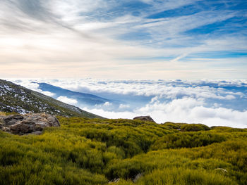 Scenic view of landscape against sky