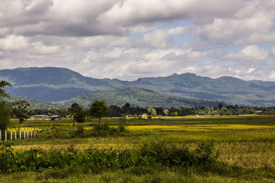 Scenic view of field against sky
