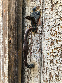 Close-up of old door