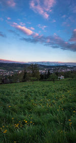 Scenic view of field against sky