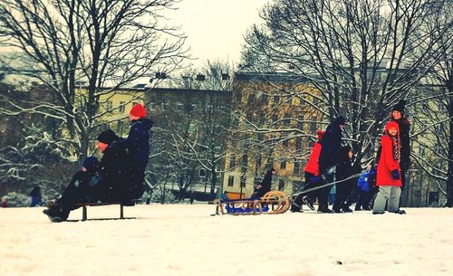 Bare trees in the dark