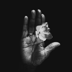 Close-up of hand holding flower over black background