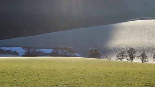 Scenic view of field against sky