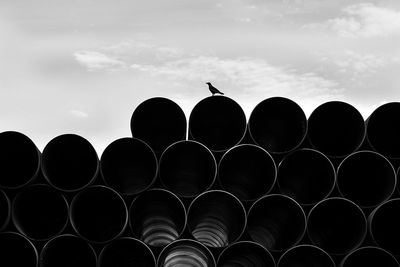 Low angle view of silhouette birds on pipe against cloudy sky