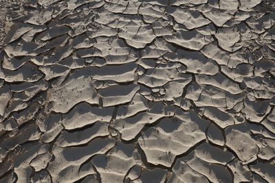 Full frame shot of cracked land