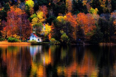 Scenic view of lake by trees during autumn