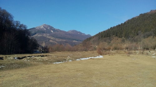 Scenic view of landscape against clear sky