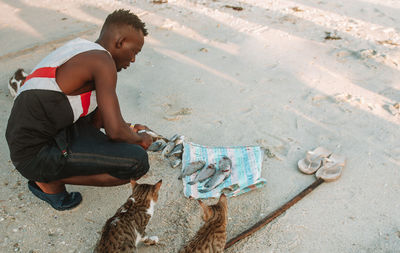 A local fisherman preparing a catch of fish surrounded by cats