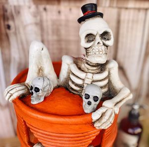 Close-up of  halloween skeleton