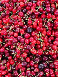 Full frame shot of tomatoes