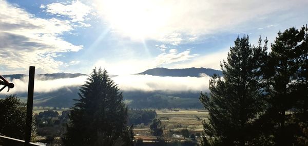 Panoramic view of trees on sunny day against sky