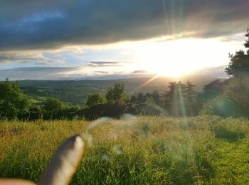 Close-up of hand against trees during sunset