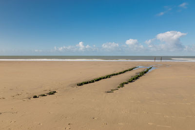 Scenic view of beach against blue sky