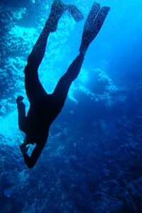 Swimming cave diving silhouette in blue sea waters of vava'u, tonga