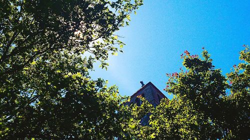 Low angle view of building against clear blue sky