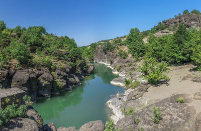 Scenic view of river amidst trees against sky