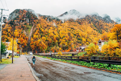 Rear view of woman walking on road by autumn trees against sky