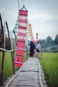 Boardwalk amidst trees on field against sky