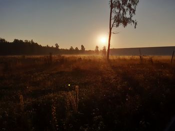 Scenic view of field against sky during sunset