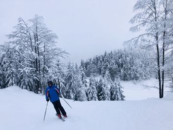 Skier going down a slope surrounded by trees covered in snow