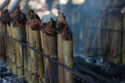 Close-up of rusty metal fence