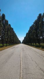 Empty road amidst trees against clear blue sky