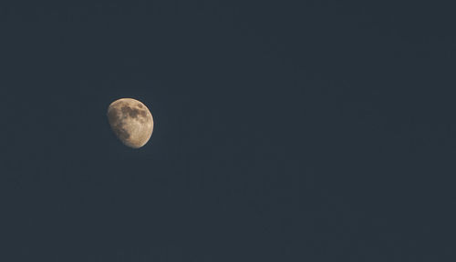 Low angle view of moon in sky