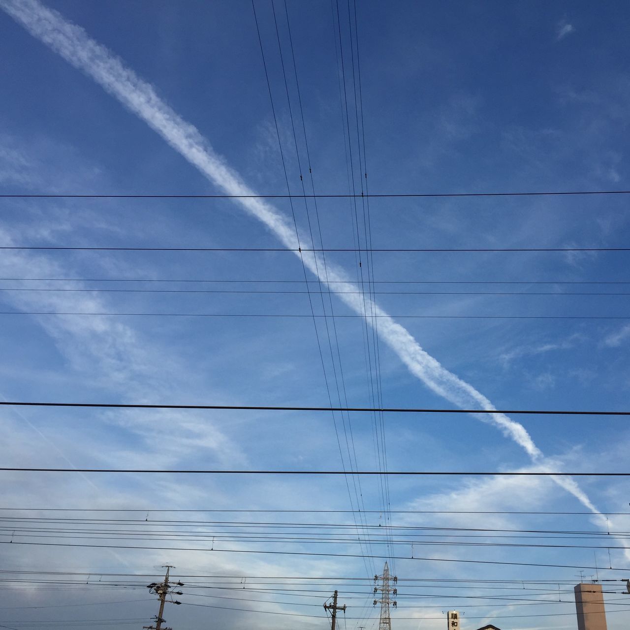 power line, low angle view, bird, sky, cable, blue, electricity pylon, animal themes, electricity, fuel and power generation, flying, power supply, wildlife, connection, technology, animals in the wild, cloud, cloud - sky, day