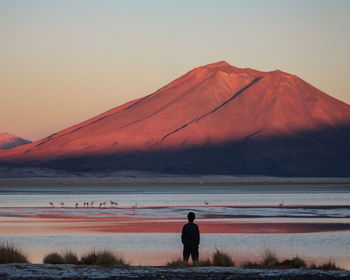 Silhouette of a man in salar de ascotán, chile, during sunset with orange mountains and flamingos