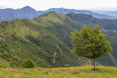 Scenic view of field and mountains against sky