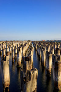 Wooden posts in front of sea