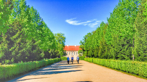 Rear view of people walking on footpath amidst trees against sky