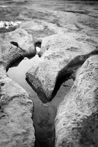 Close-up of rocks on shore