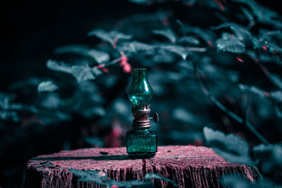 Close-up of antique oil lamp on tree stump amid plants in forest