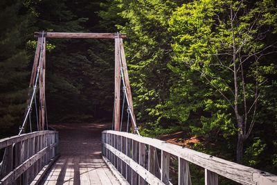 Empty footbridge amidst trees in forest