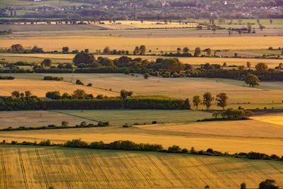 Scenic view of agricultural field