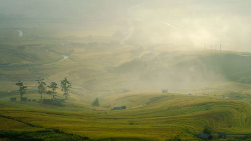 Scenic view of agricultural field against sky